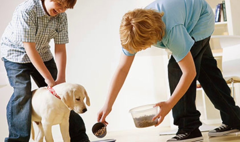 Avoiding overfeeding a puppy