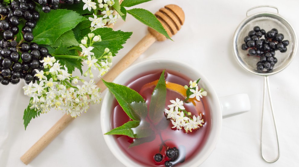 Elderberry Benefits For the Immune System