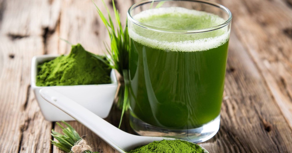 The Benefits of Chlorophyll